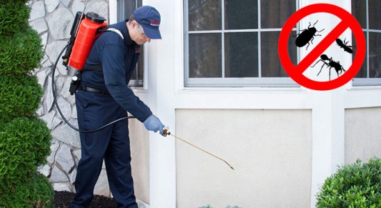 Serik Böcek ve Haşere İlaçlama böcek ilaçlama ve haşere kontrolü — ilaclama-tr.com